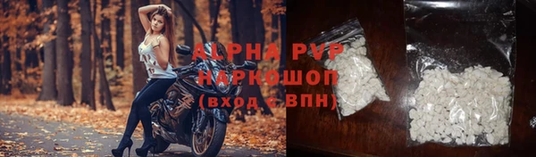 СК Арсеньев