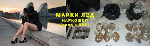 СК Арсеньев