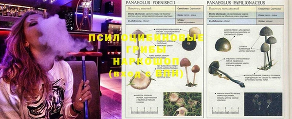 экстази Алзамай