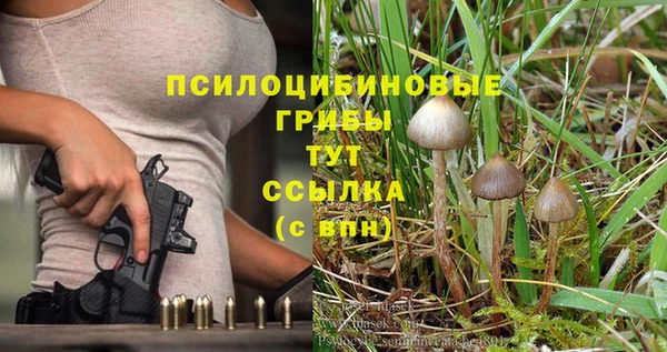 гашиш Аркадак