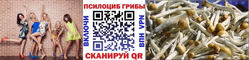 Галлюциногенные грибы мухоморы Дзержинский