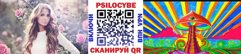 Псилоцибиновые грибы Magic Shrooms как найти наркотики Дзержинский